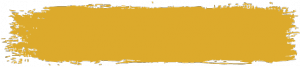 Contributor Exhibits yellow stroke