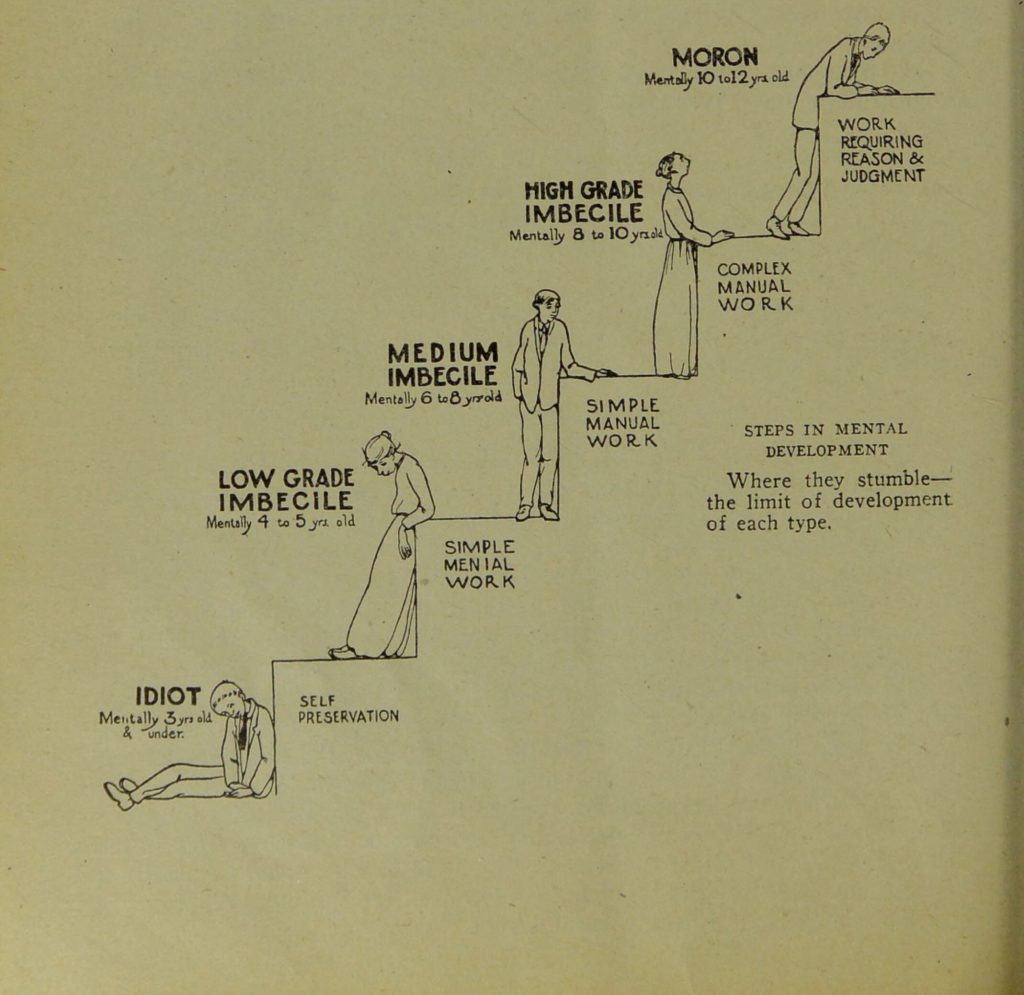 This image is reproduced in Dr. Helen MacMurchy’s report on the feebleminded in Ontario for 1913. It provides the following scale in mental development: idiot, mentally 3 years old and under, self-preservation; low grade imbecile, mentally 4 to 5 years old, simple menial work; medium imbecile, mentally 6-8 years old, simple manual work high grade imbecile, mentally 8 to 10 years old, complex manual work; and moron, mentally 10 to 12 years old, work requiring reason and judgement. 